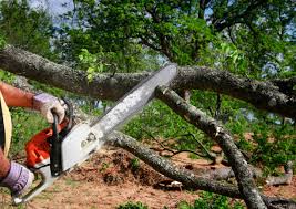 Best Soil Testing and Treatment  in Medford, NY