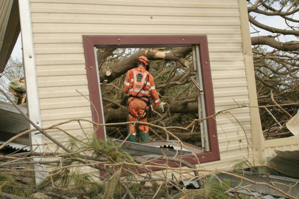 Best Tree Cabling and Bracing  in Medford, NY